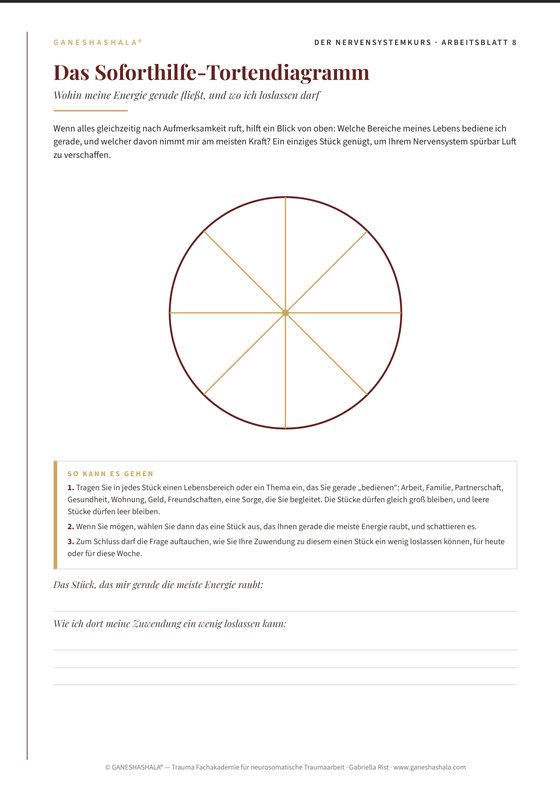 Arbeitsblatt 8: Das Soforthilfe-Tortendiagramm — wohin Ihre Energie gerade fließt, und wo Sie loslassen dürfen